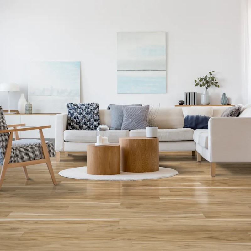 Cali Floors Windandsea Low Tide Coastal Eucalyptus Vinyl Room Scene