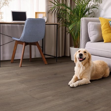 Coretec Scratchless Heyward Oak Vinyl Room Scene