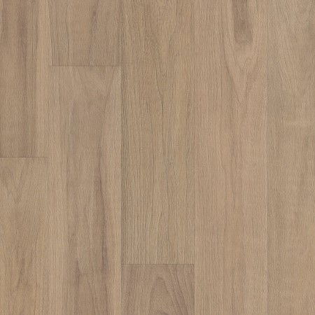 Coretec Scratchless Pierpoint Walnut Vinyl