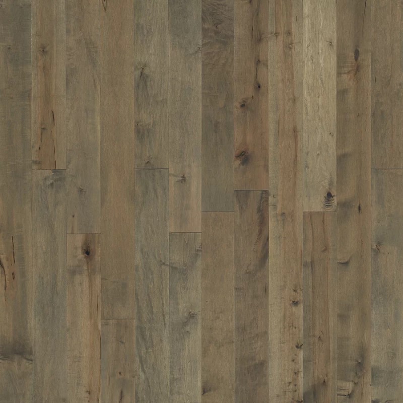 Hallmark Floors Novella Frost Maple Hardwood