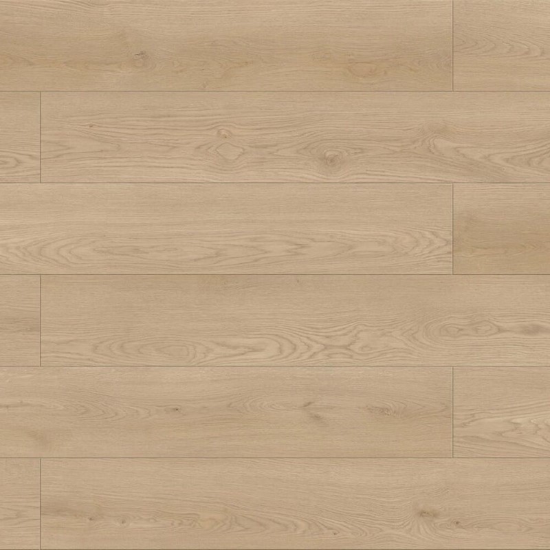 Megaclic Abbey Road Anton Vinyl