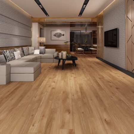 Megaclic Abbey Road Lazio Vinyl Room Scene