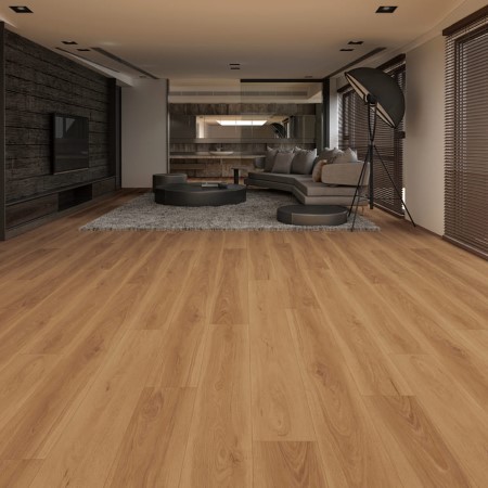 Megaclic Abbey Road Moneo Vinyl Room Scene