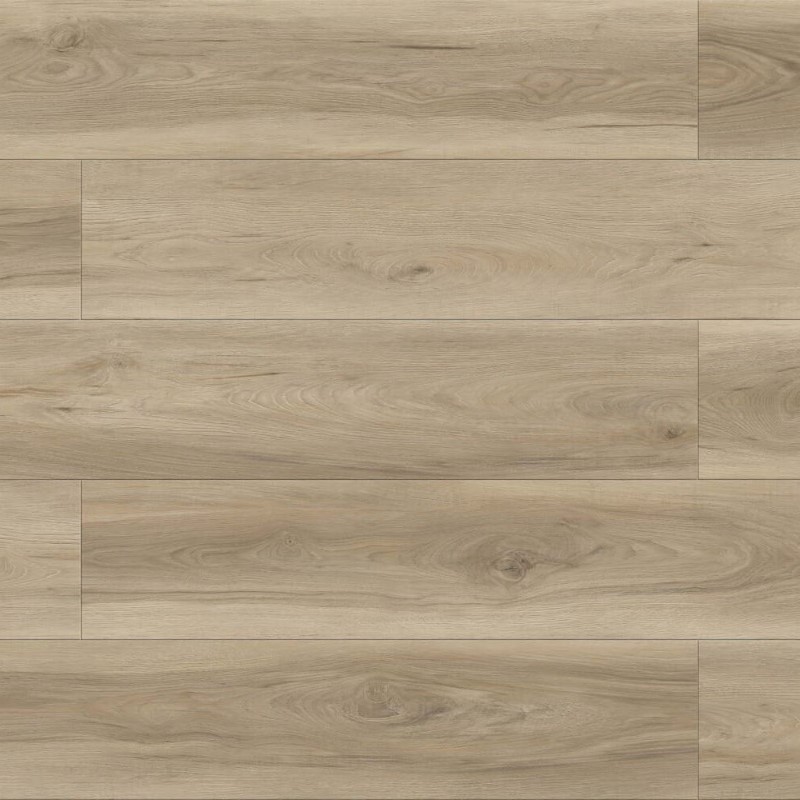 Megaclic Abbey Road Victoria Vinyl