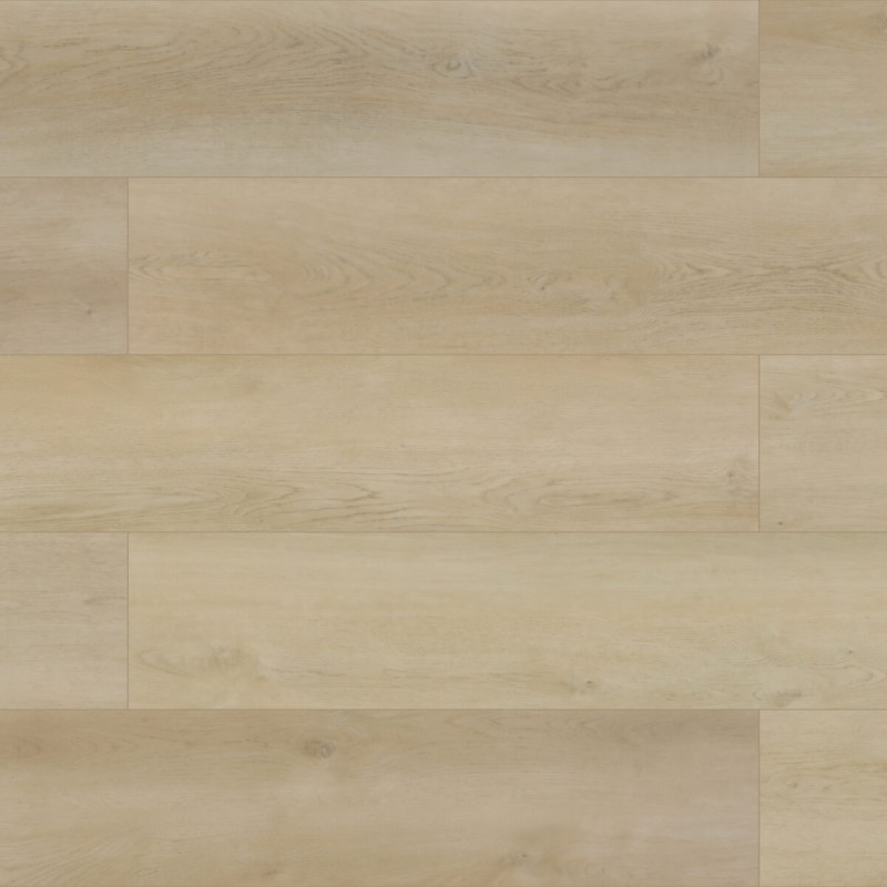 Megaclic Athens Great Falls Vinyl