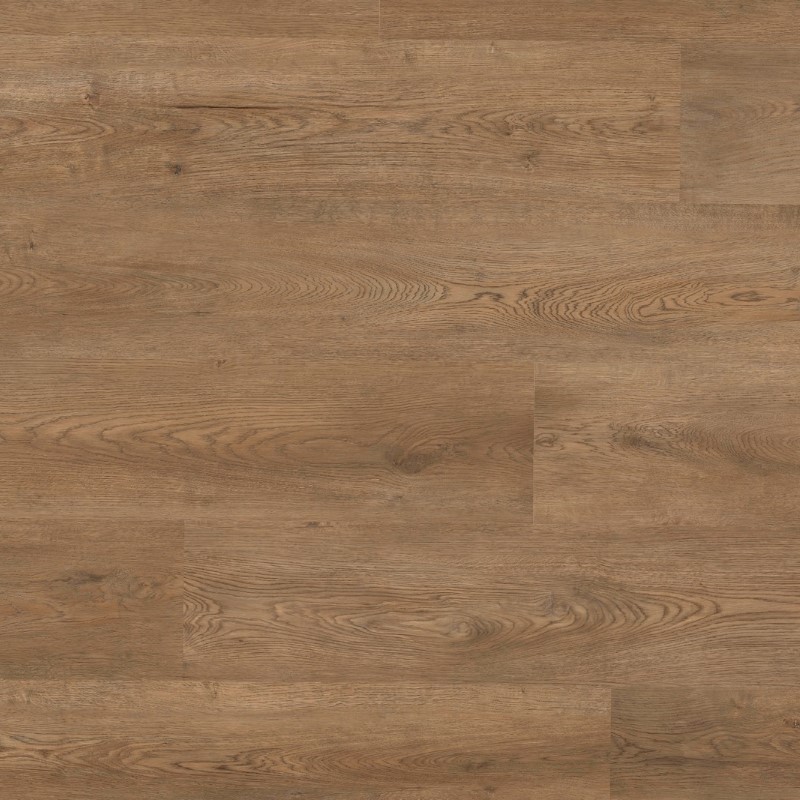 Nexxacore The Summit Shasta Vinyl