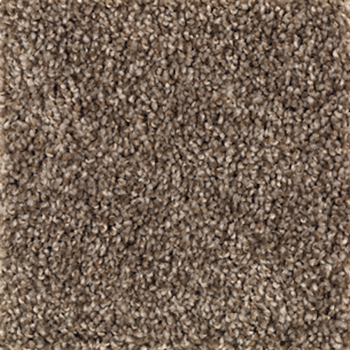 Mohawk Mohawk Rustic Retreat  Carpet