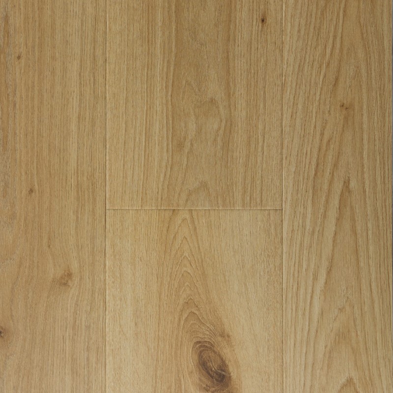 Provenza Modessa Cover Story Laminate