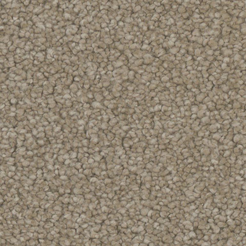 Tarkett Home Allure Appeal Carpet