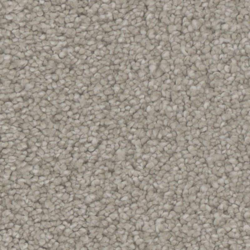 Tarkett Home Allure Charisma Carpet