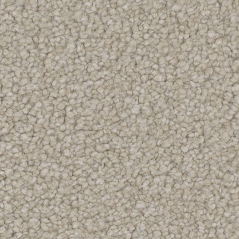 Tarkett Home Allure Dazzle Carpet