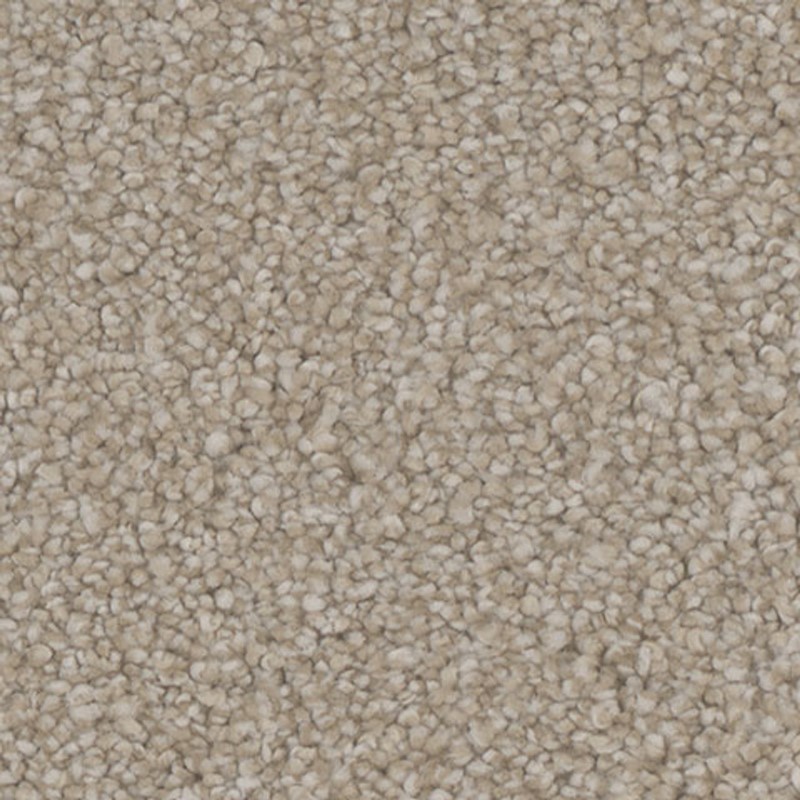 Tarkett Home Allure Gratify Carpet