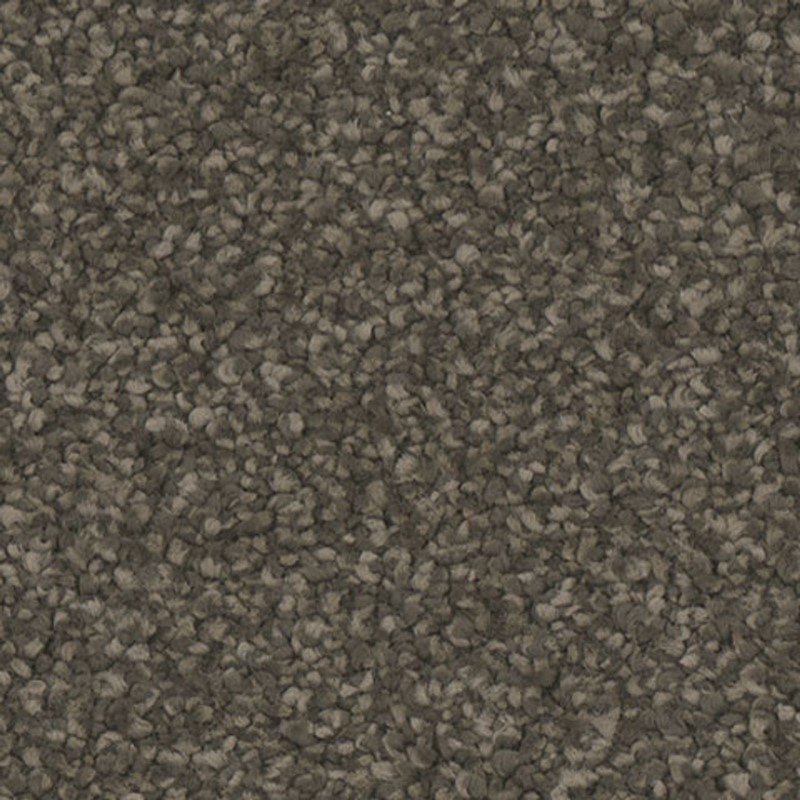 Tarkett Home Allure Ravish Carpet