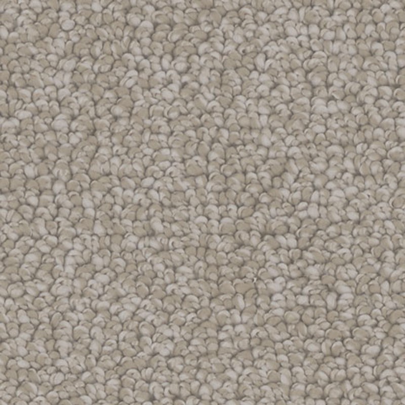 Tarkett Home Antiquity Primrose Carpet