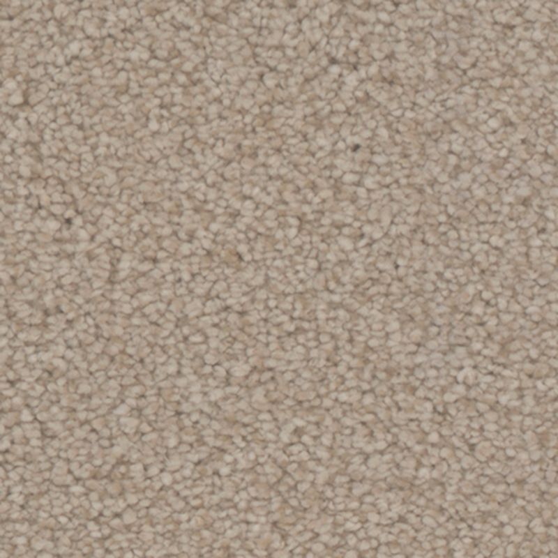 Tarkett Home Avalon Borough Carpet