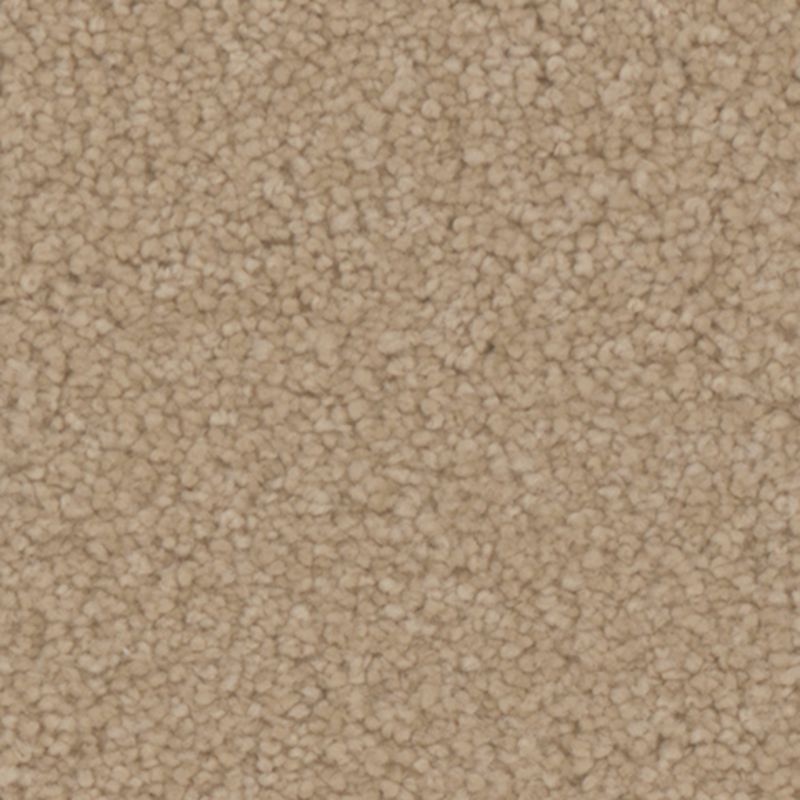 Tarkett Home Avalon Bungalow Carpet