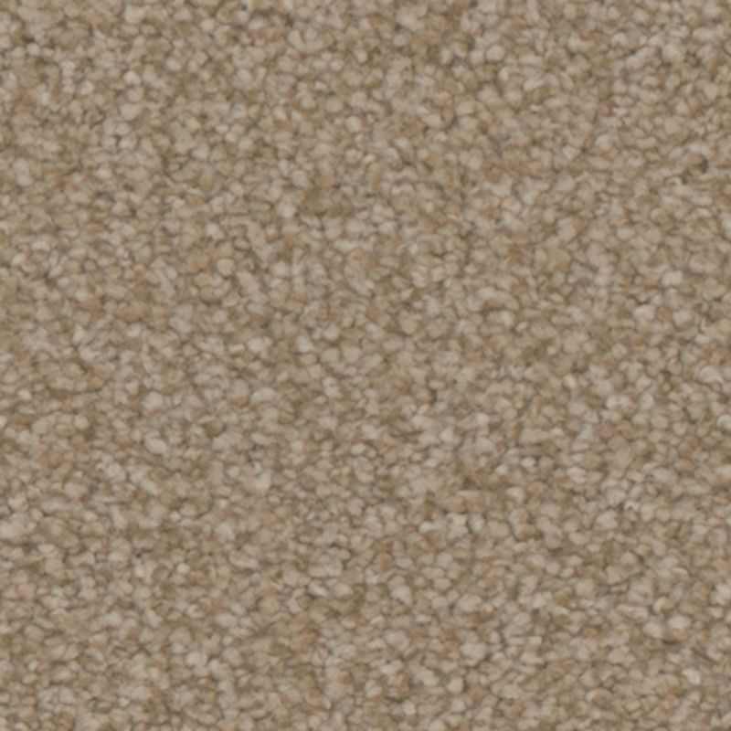 Tarkett Home Avalon Cottage Carpet