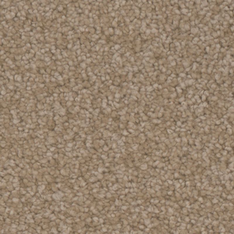 Tarkett Home Avalon Countryside Carpet