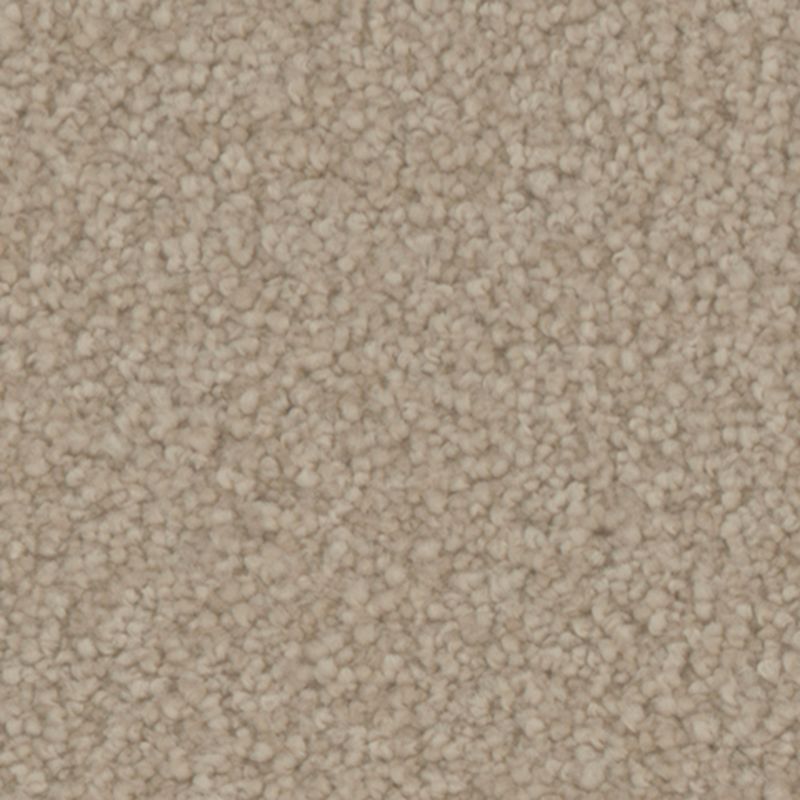 Tarkett Home Avalon Grove Carpet