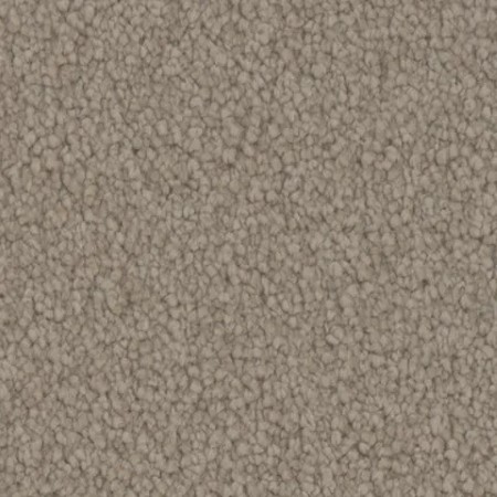 Tarkett Home Avalon Stable Carpet