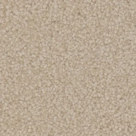 Tarkett Home Avalon Townlet Carpet