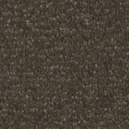 Tarkett Home Avalon Woodlands Carpet