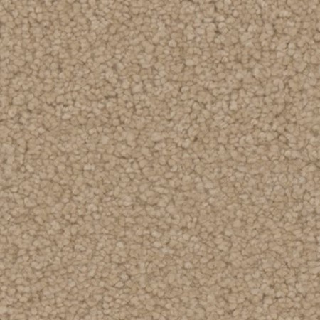 Tarkett Home Balmoral Bungalow Carpet