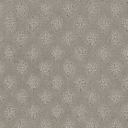 Tarkett Home Bar Harbor Nickel Carpet