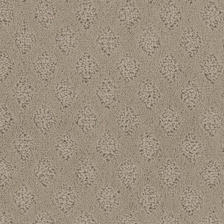 Tarkett Home Bar Harbor Weathered Carpet