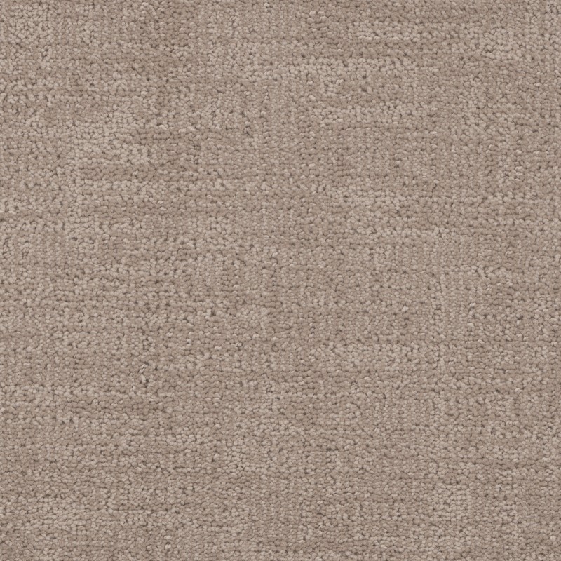 Tarkett Home Cadence Abalone Carpet