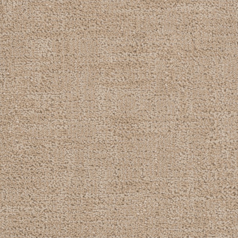 Tarkett Home Cadence Haylo Carpet