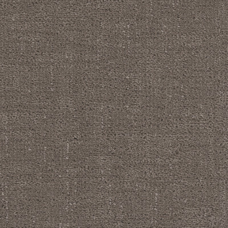 Tarkett Home Cadence Mink Carpet