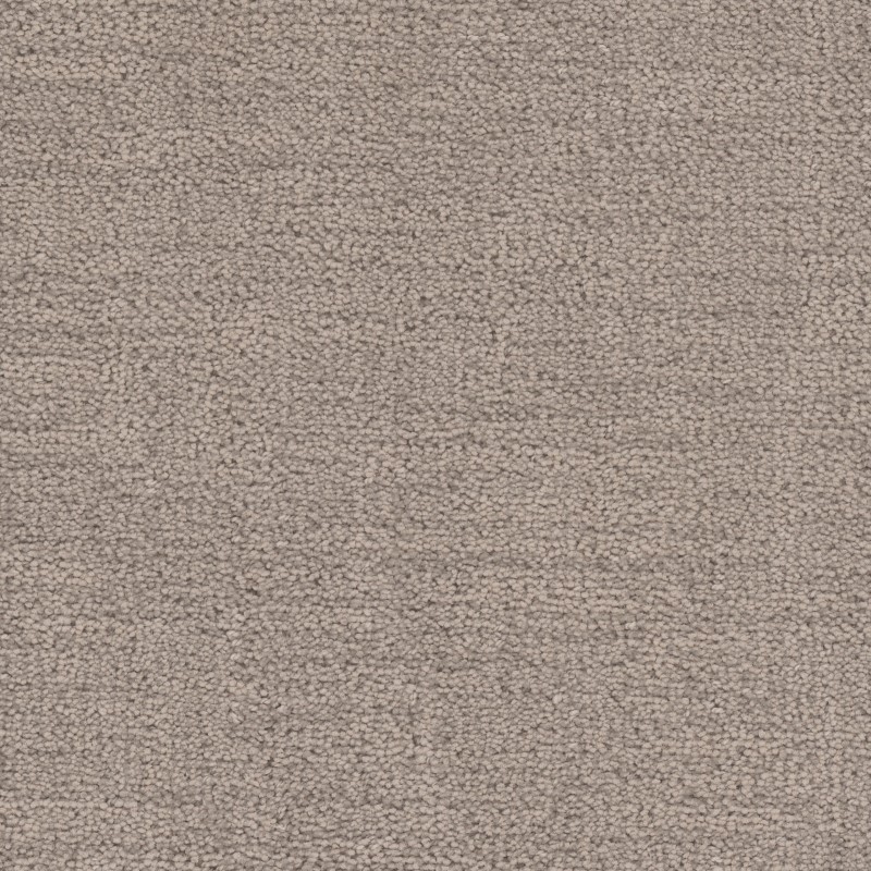 Tarkett Home Cadence Parchment Carpet