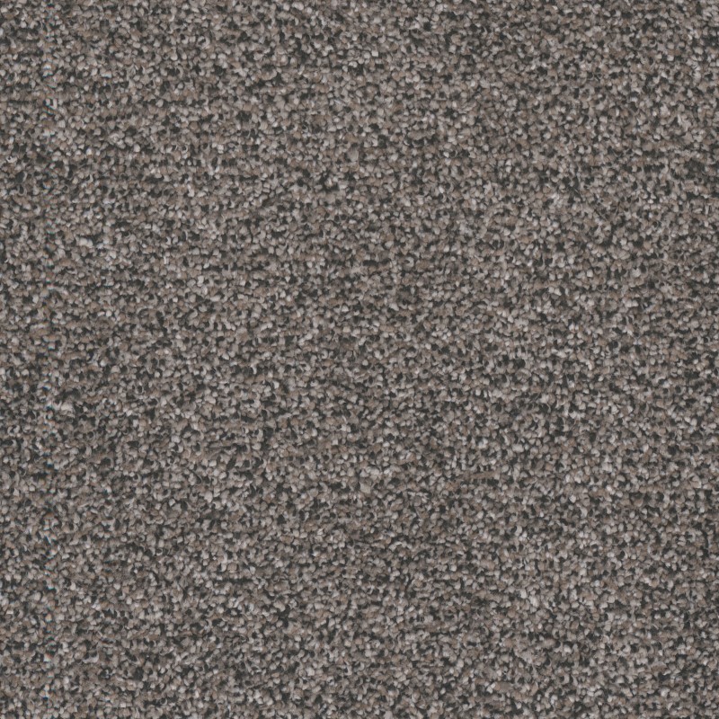 Tarkett Home Candler Park Praire Carpet