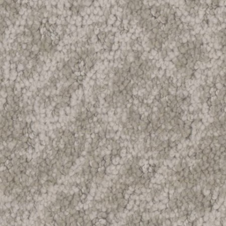 Tarkett Home Cheshire Cozy Carpet