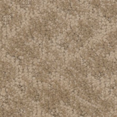 Tarkett Home Cheshire Dwelling Carpet