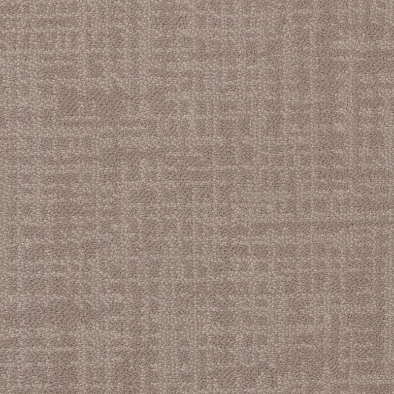 Tarkett Home Crosswalk Abalone Carpet