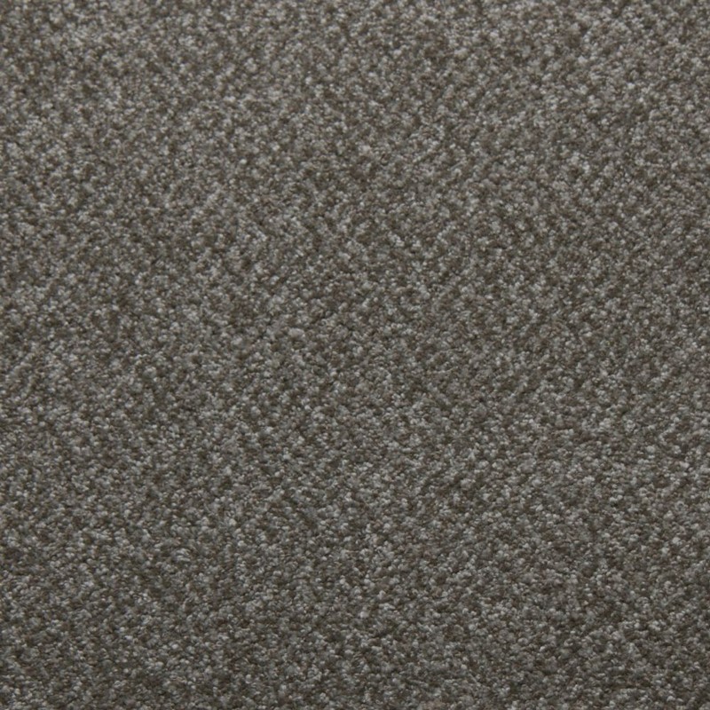 Tarkett Home Downy Bliss Carpet