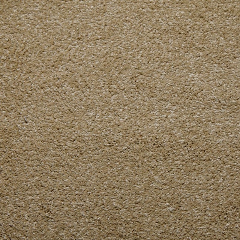 Tarkett Home Downy Camel Carpet