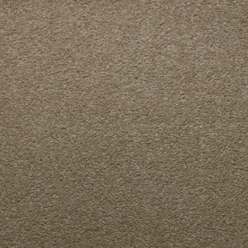 Tarkett Home Downy Canvas Carpet