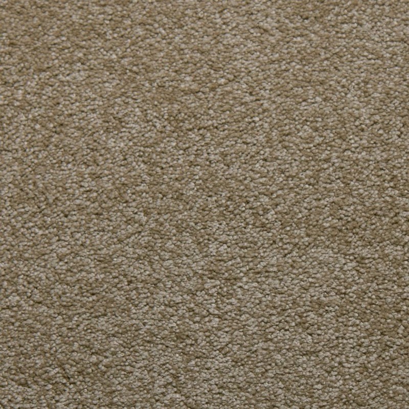 Tarkett Home Downy Ecru Carpet