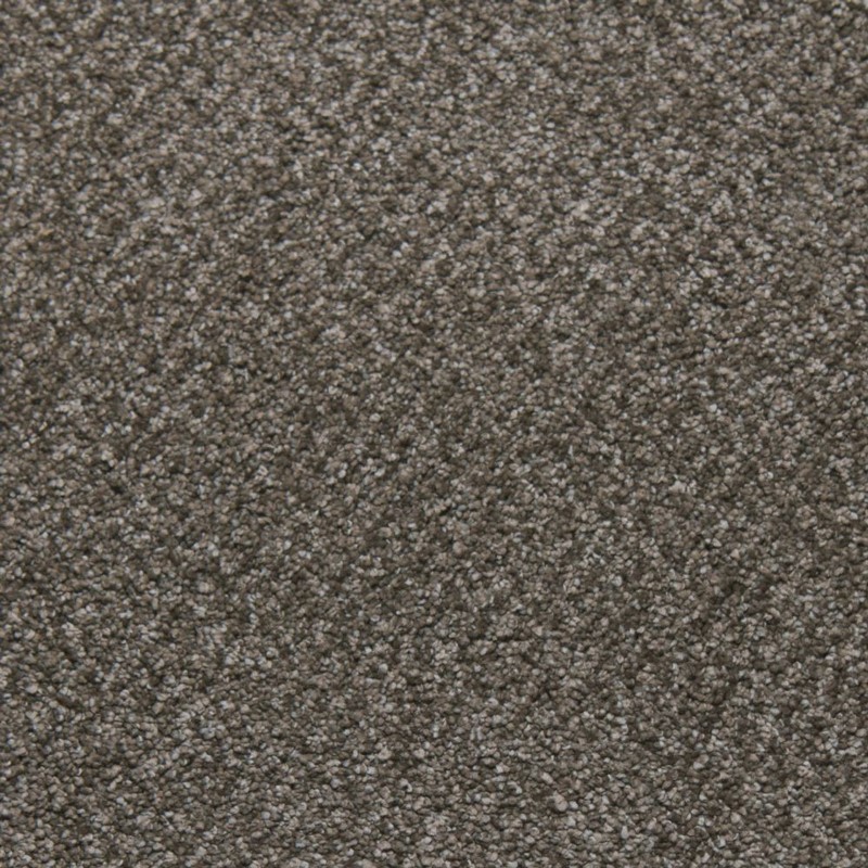 Tarkett Home Downy Felicity Carpet