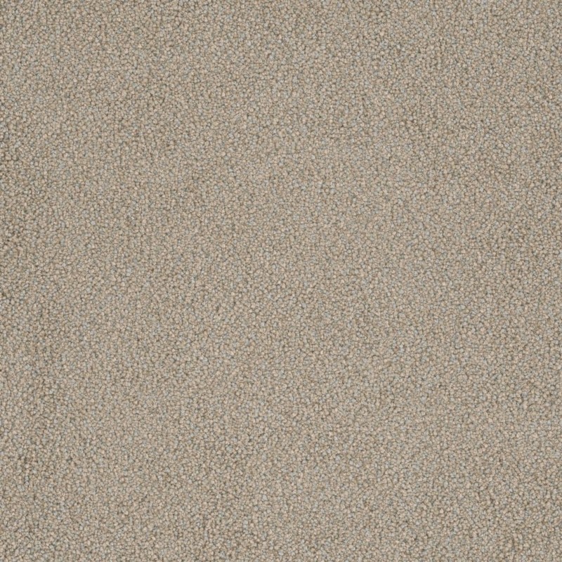 Tarkett Home Downy Glisten Carpet