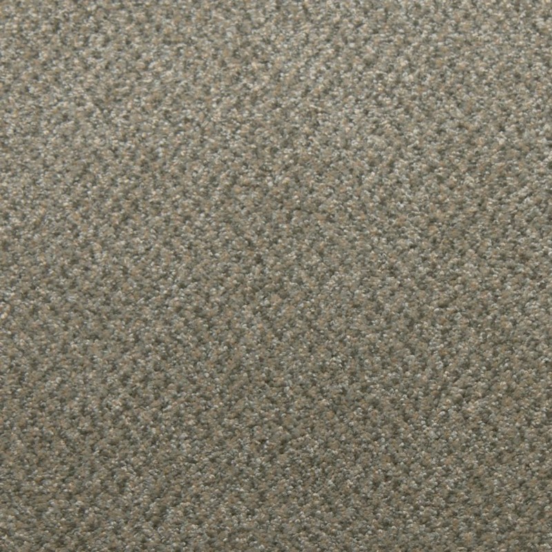 Tarkett Home Downy Jasper Carpet