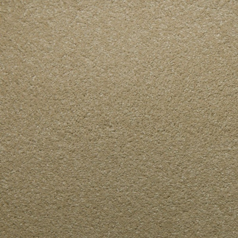 Tarkett Home Downy Moonstone Carpet