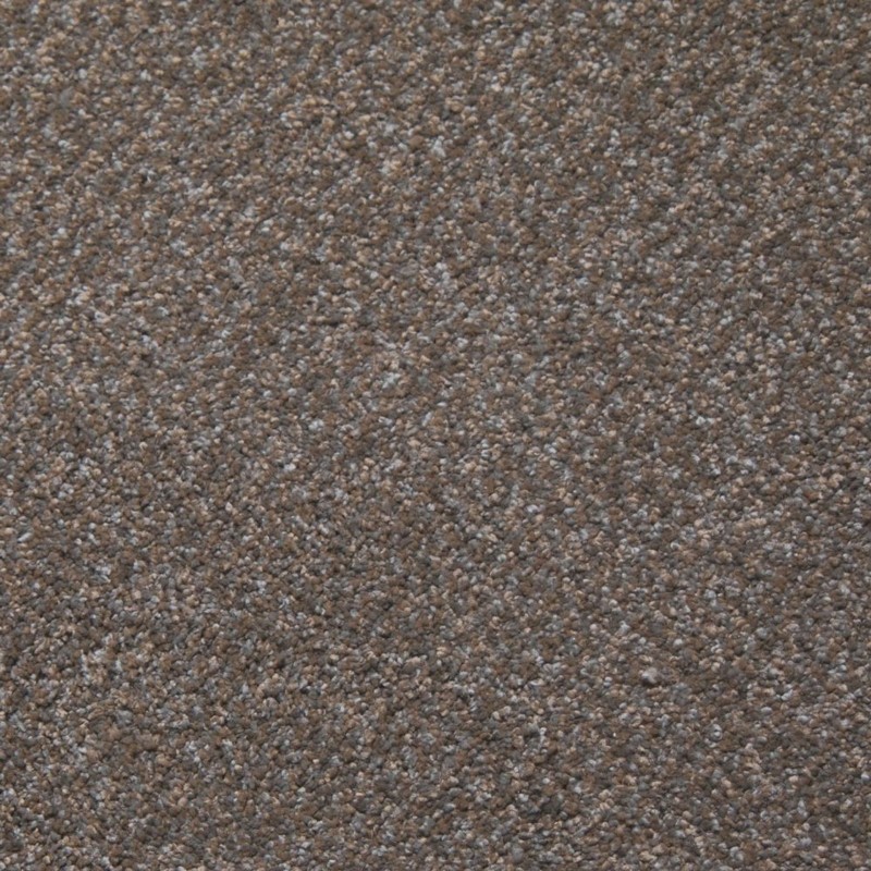 Tarkett Home Downy Patience Carpet