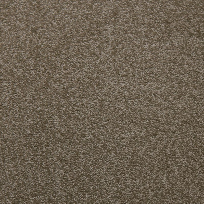 Tarkett Home Downy Suede Carpet