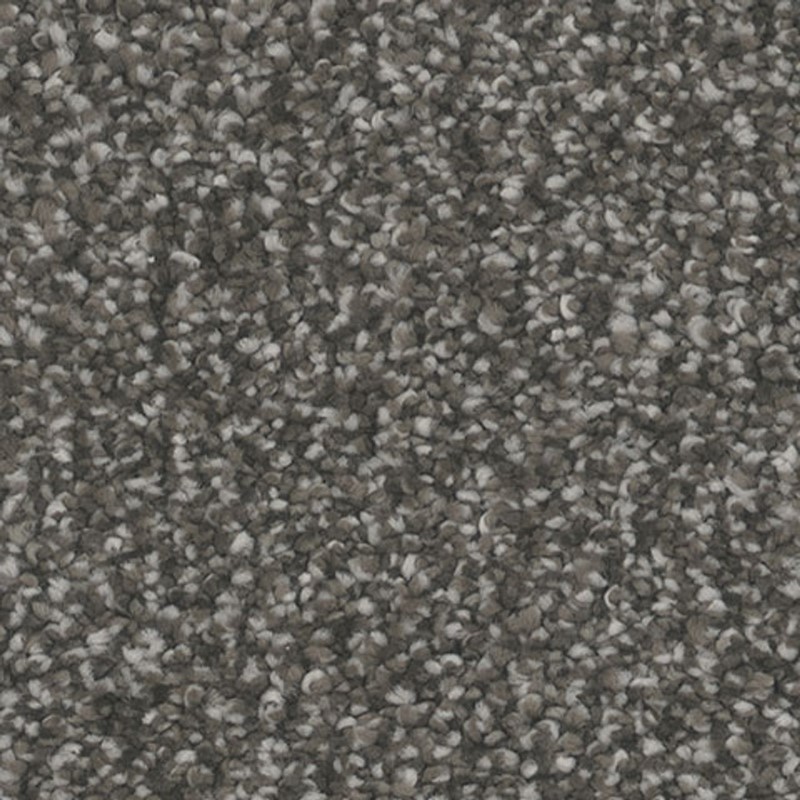 Tarkett Home Influence Bewitch Carpet