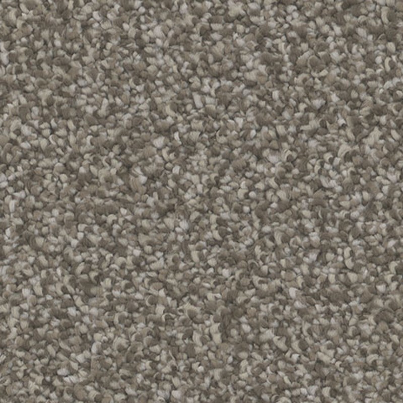 Tarkett Home Influence Captivate Carpet