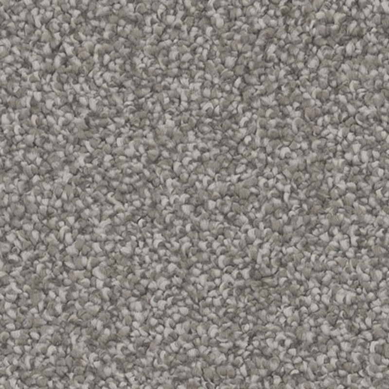 Tarkett Home Influence Compel Carpet